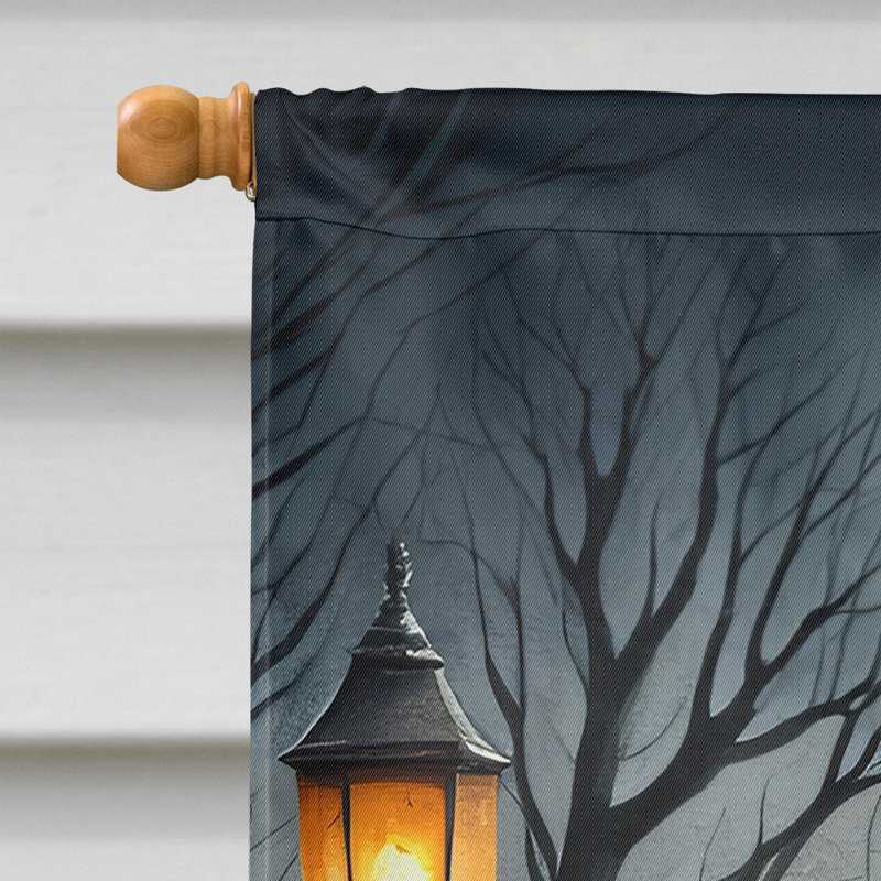 Drapeau de maison d'Halloween en polyester à double face H 40 po x l 28 po