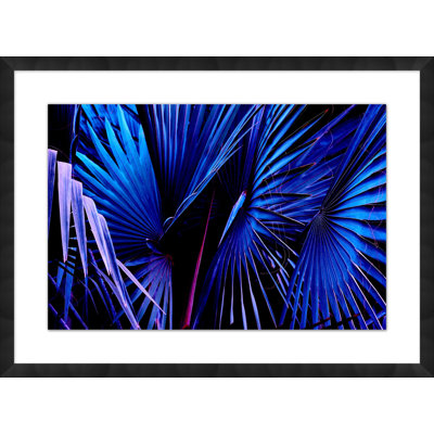 Night Tropics 3 Print by Mat Sanders