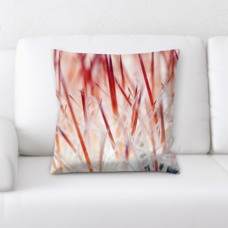 Coussin cactus