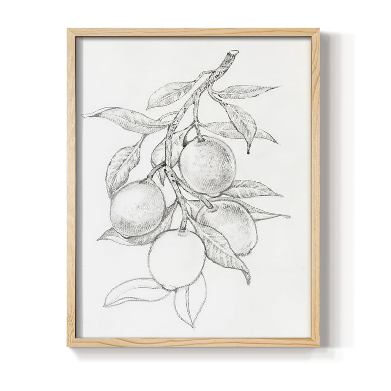 «FruitBearing Branch I», reproduction encadrée - bois massif, H 11 po x l 9 po