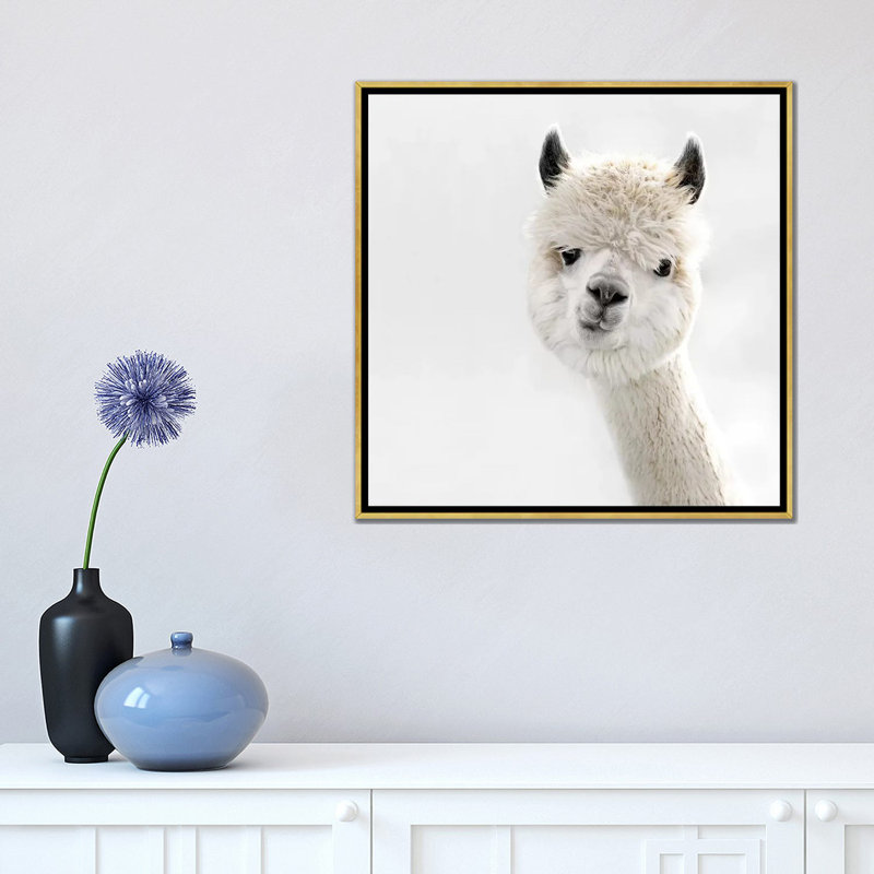 «Peeky Alpaca Square» par Monika Strigel - impression d'art graphique, Aucun mat, Encadrement doré