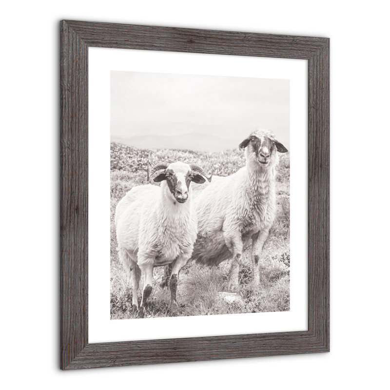 Sheep On Hill, reproduction encadrée, H 24 po x l 20 po x P 0,75 po, gris