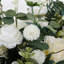 20cm Faux Flower Plant in Planter