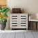 Millan 12 Pair Shoe Storage Cabinet