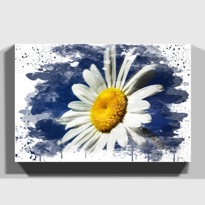 White Daisy Flower - Wall Art