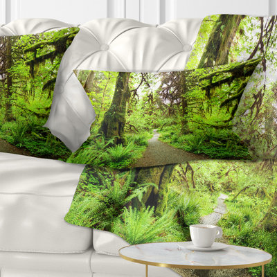 Coussin lombaire de forêt footpath de séquoia