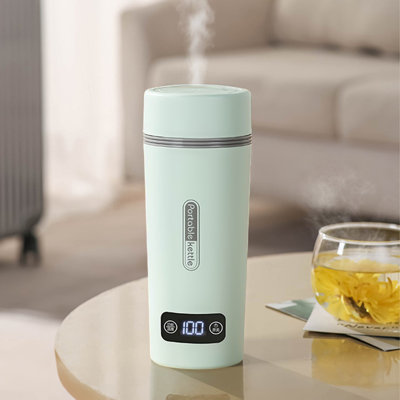 Thermos, petite bouilloire, bouilloire de voyage, bouilloire de 350 ml avec 4 réglages de température, acier inoxydable 304