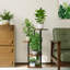 Petit support à plante à 4 niveaux en bois, balcon et étagère à fleurs pour chambre à coucher