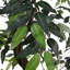 165cm Faux Eucalyptus Tree in Freestanding