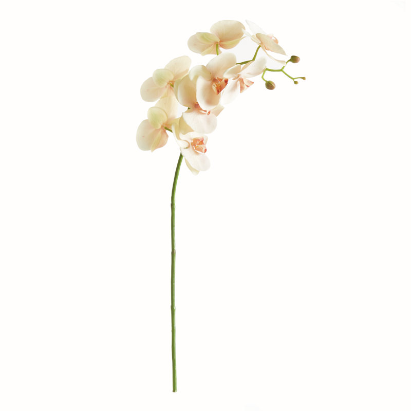TIGE D'ORCHIDÉE PHALAENOPSIS 28 po, Rosé