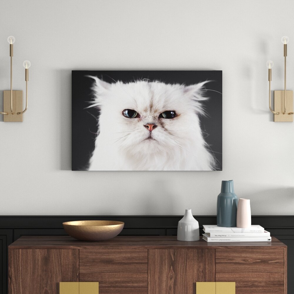 Gerahmtes Leinwandbild Weiße Katze im Portrait