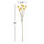 Billy Button Stem-2121673029