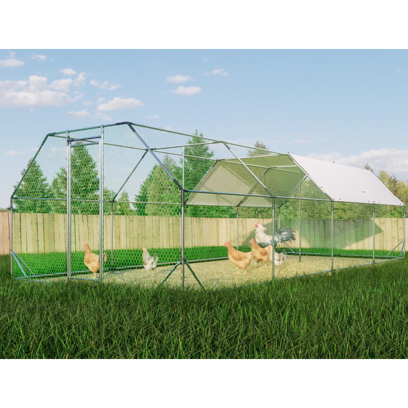 Cage à poulailler galvanisée