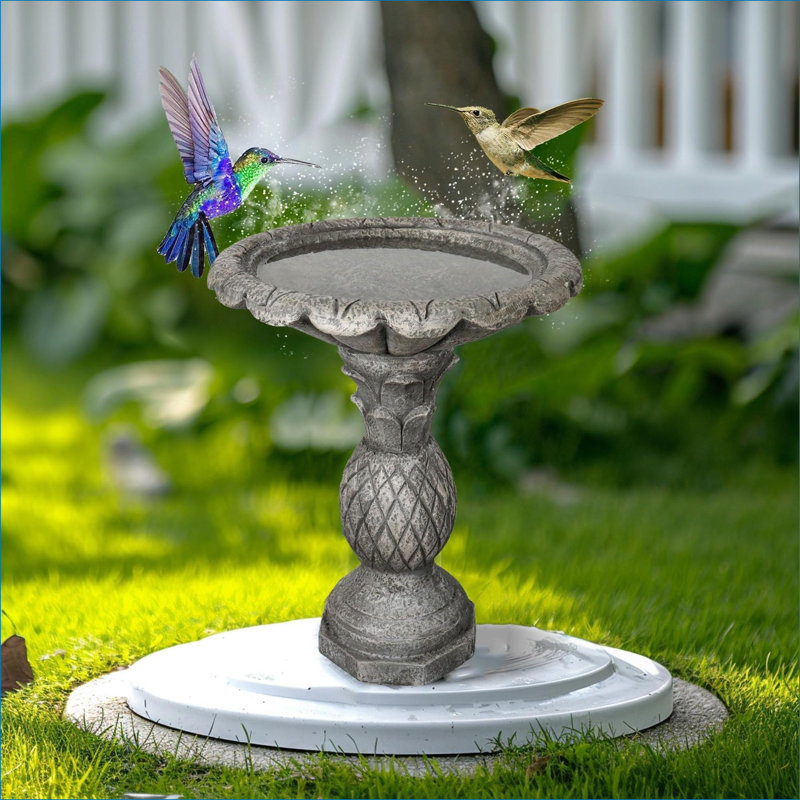 Bain d'oiseaux sur piédestal 24,8 po SKYFIRE