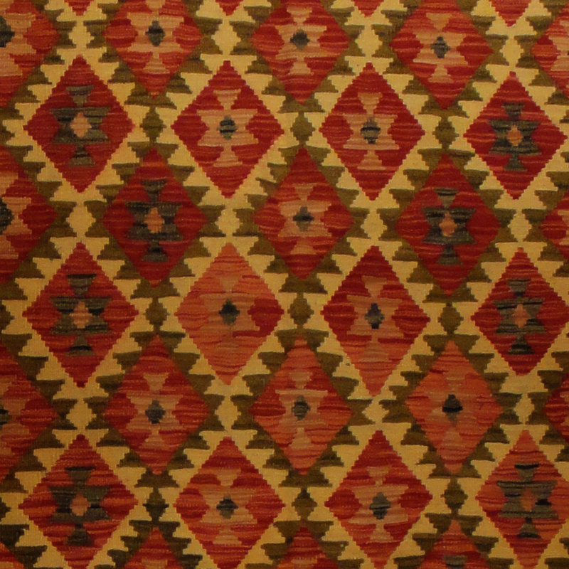 Azpeitia Wool Indoor Rug