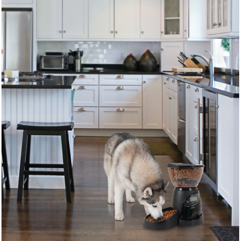 Large Black Programmable Automatic Pet Feeder