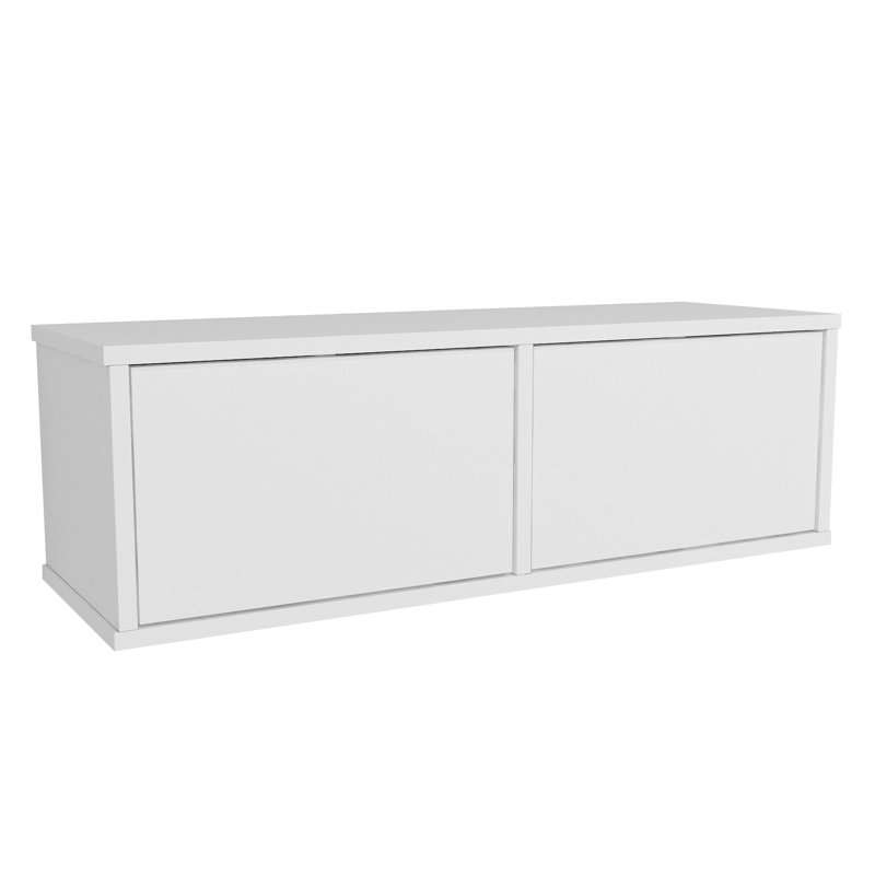 Deraney Floating TV Stand for TVs up to 40"