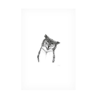 Lor Muller Owlet sur toile