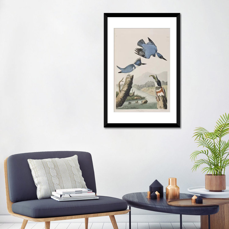 « belted kingfisher », impression sur toile, H 32 po x l 24 po x P 1 po, Papier d'art encadré noir, Blanc