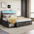 Eyve Metal Bookcase Bed-196413780-186465872