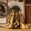 Tapis Serape Sands-304262213