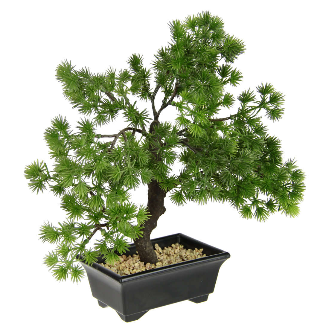 Künstlicher Bonsai Baum in Schale aus Kunststoff Japanische Deko Pflanze Zimmerpflanzen