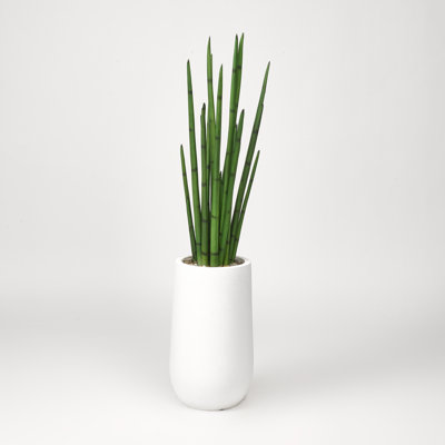 Faux Snake Plant (Sansevieria) Plant in Planter