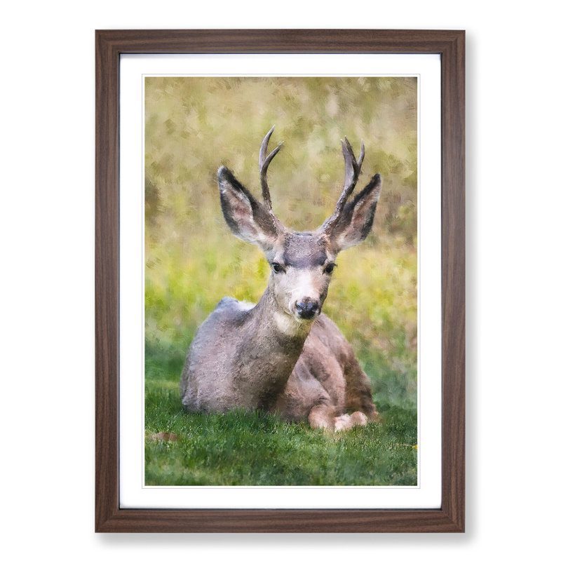 A Resting Deer - Picture Frame Painting, 36cm H x 27cm W x 2cm D, Walnut Framed