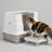 Enclosed litter box featuring both top and side entry points, with a flip-open top for easy access.