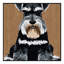  Tapis lavable pour chien Schnauzer-1054146805