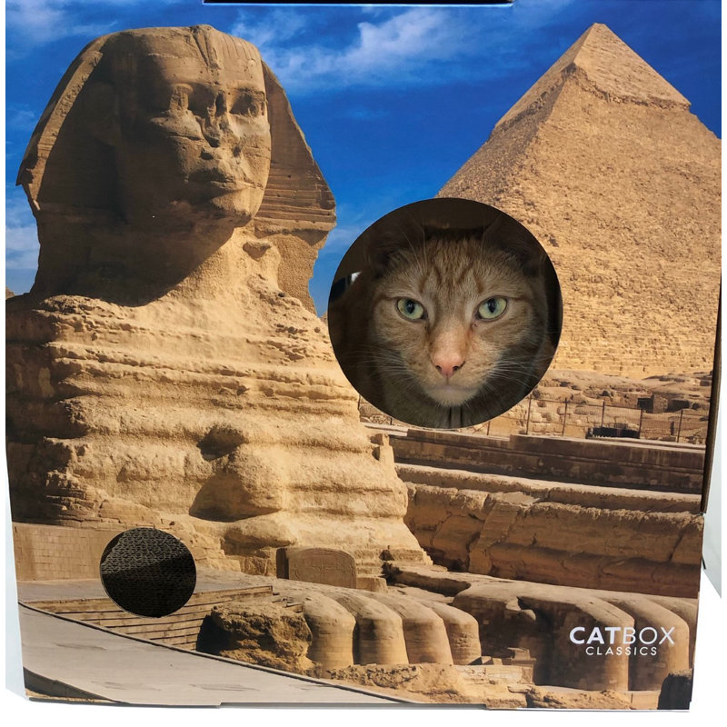 Habitation pour chat Conchetta