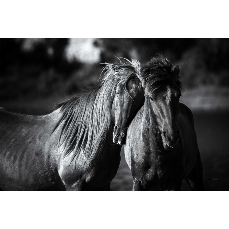 " Buddies Crop " by Aledanda, 12" H x 18" W
