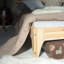 Harper Open-Frame Bed