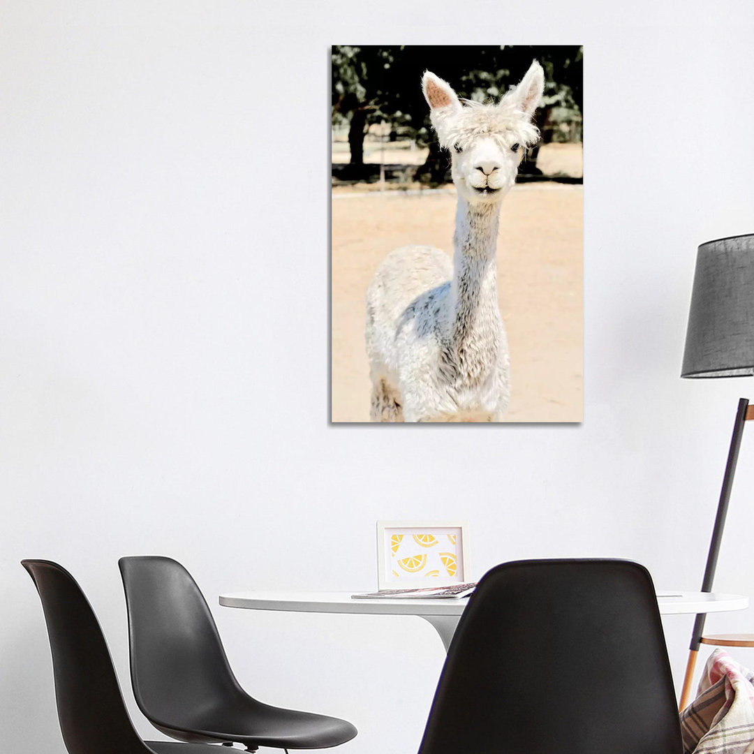 Extra White Alpaca von Susan Vizvary - Giclée auf Leinwand ohne Rahmen