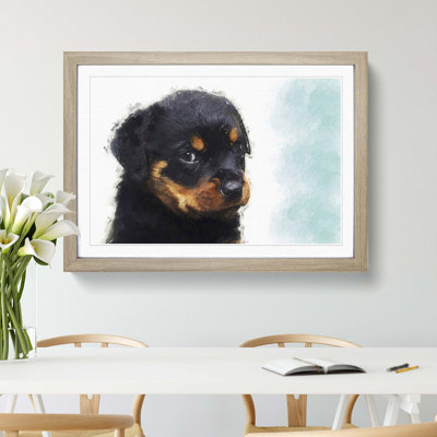 Rottweiler Puppy - Picture Frame Graphic Art Print