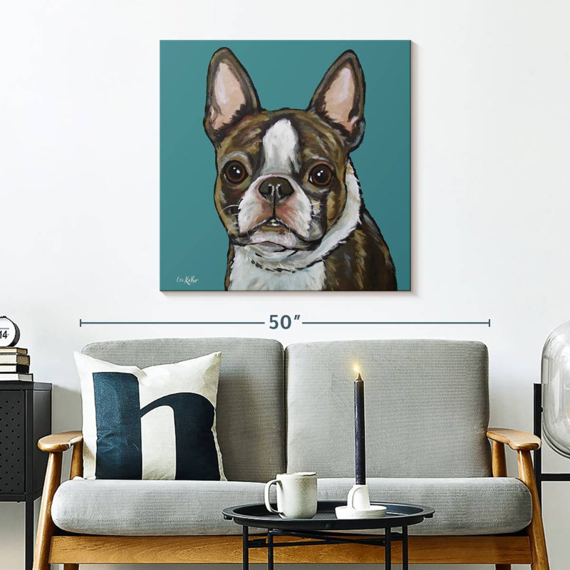 Crowle Sasha Boston Terrier sur sarcelle