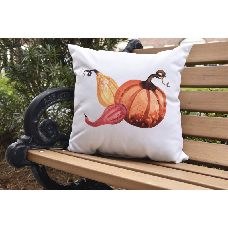 Harvest Outdoor Reversible Throw Pillow, 16" x 16", Cream