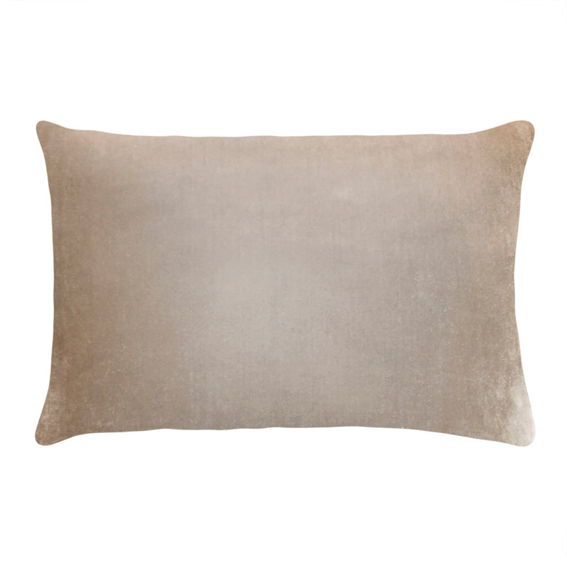 Square Velvet Pillow Cover & Insert, Coyote, Rectangle 14"H x 20"W
