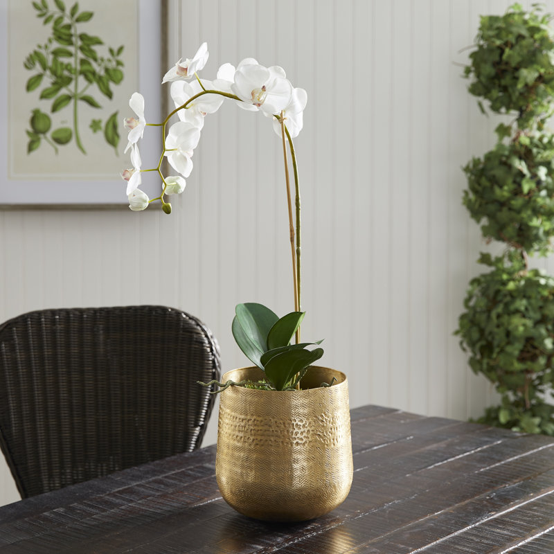 Emberlynn Metal Planter, Gold, 8" H x 8.25" W x 8.25" D