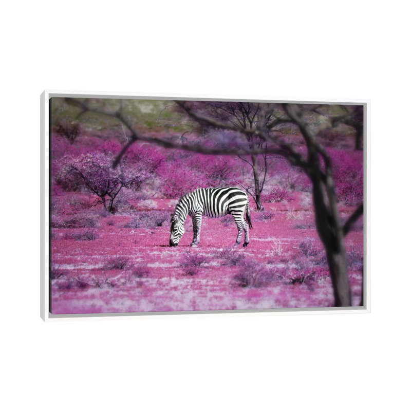 Kenya VII by Ben Heine - Print on Canvas, White Framed, 101.6 cm H x 66.04 cm W