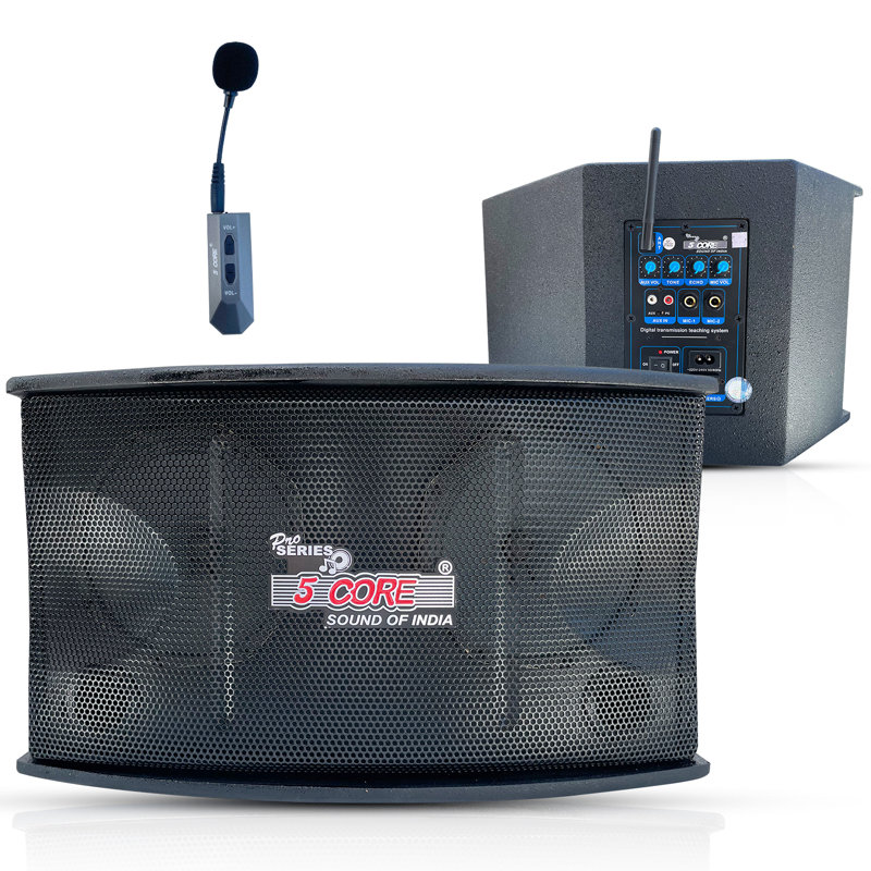 5 Core Voice Amplifier 200W Active Portable PA Speaker System w/ Wireless Lavalier Microphone 5C APS