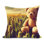 Hiltop Newport Abstract Reversible Throw Pillow