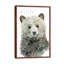 Forest Fur Baby Bear by Carol Robinson - Floater Frame Painting on Canvas-739776294-739776293