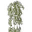 Vigne 18 po en plastique naturel