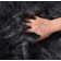 Rakebia Indoor Rug