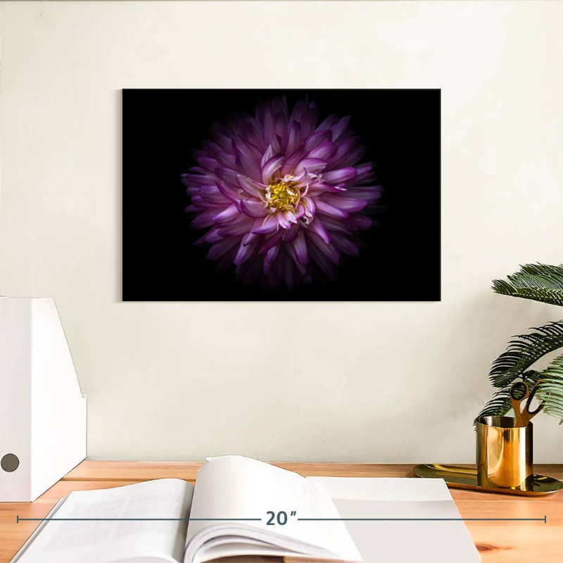 Fleurs Harnek Backyard de couleur V, H 8 po x l 12 po