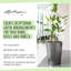 Deltini Pot Planter-16493044-16493042