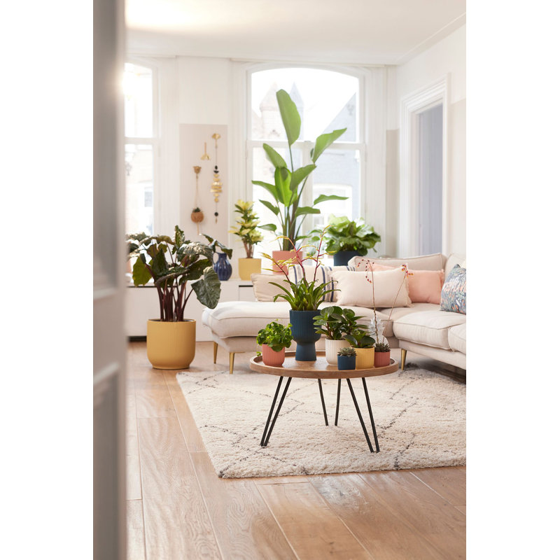 Pot Planter, Delicate Pink, 32.4cm H x 34.9cm W x 34.9cm D