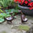 Krugerville Animals Weather Resistant Metal Garden Statue