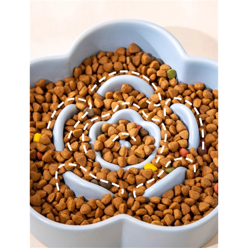 Bol pour animal à alimentation lente, Bleu
